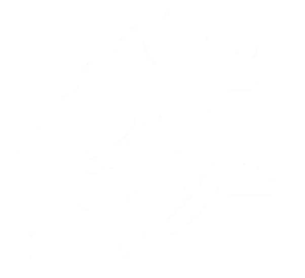 hungary-receipt-front hungary-receipt-front